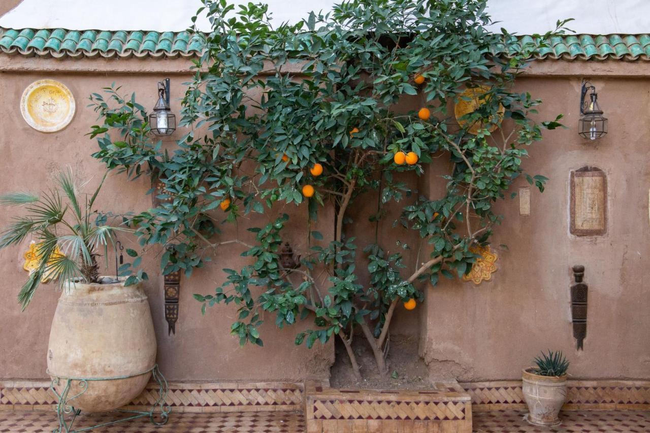 Riad Dar Sofian Zagora Exterior foto